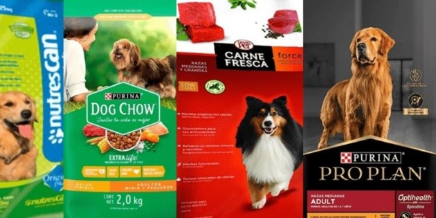 una comida para perros que es realmente buena para los perros