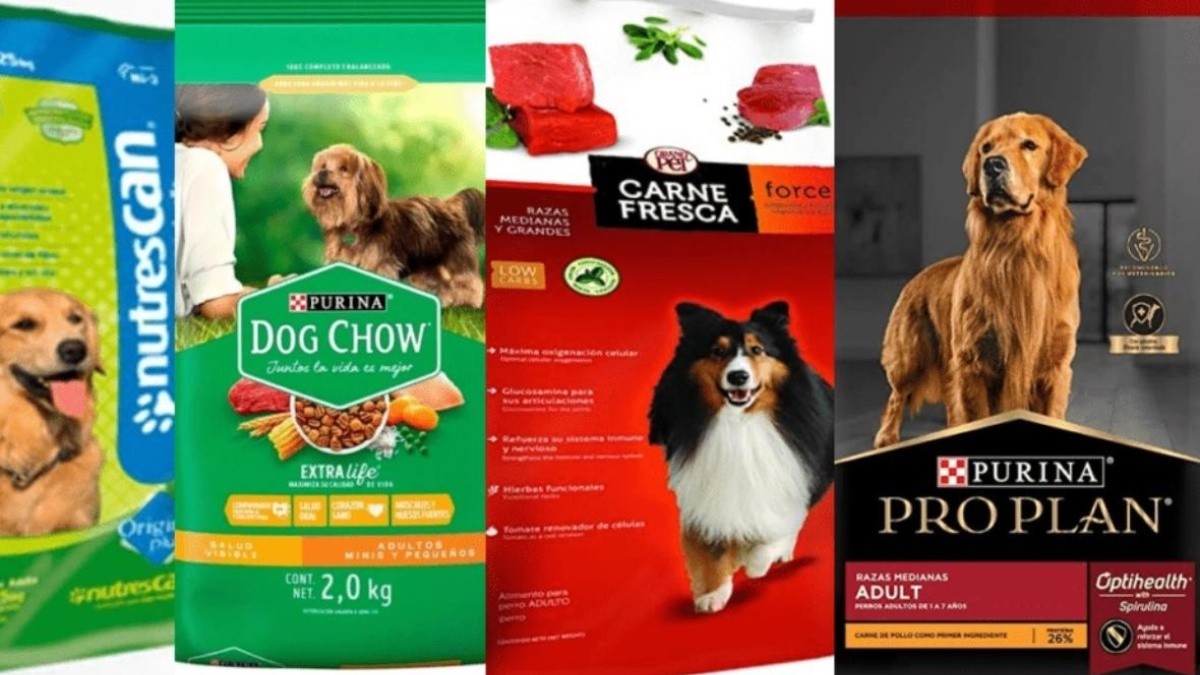 cual es la mejor comida purina para cachorros