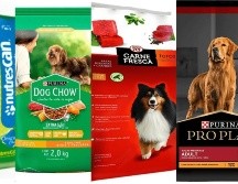 Profeco analizó diversas marcas de croquetas para perros. ESPECIAL