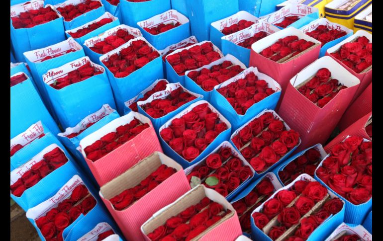 Paquetes de 24 rosas en precios desde los 250 pesos las más caras y de 150 pesos las más baratas sin su arreglar están ofreciendo en el Mercado de Flores de Mezquitán. EL INFORMADOR / A. Camacho