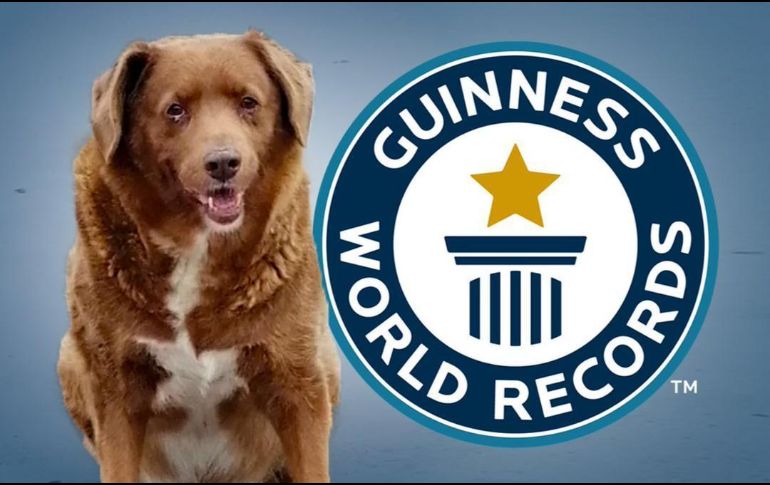 Bobi el perro más viejo del mundo. ESPECIAL