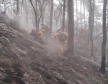 Los detenidos habrían provocado un incendio forestal en Tala. ESPECIAL