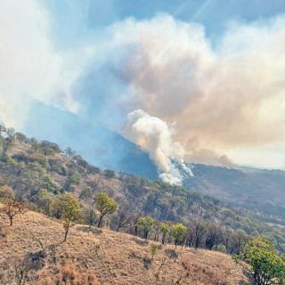 En una semana, se duplican hectáreas de bosques afectadas por los incendios