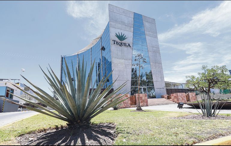 El Consejo tiene registradas mil 386 millones de plantas de agave en cinco Estados del país. EL INFORMADOR/ C. Zepeda