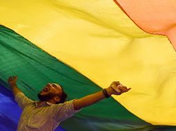 La discriminación y violencia que sufre a diario la comunidad LGBT+, en todos los ámbitos de su vida, se debe en gran medida al concepto clásico de sexo como masculino o femenino y como un fenómeno biológico. AFP / ARCHIVO