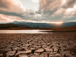 Los autores del estudio dijeron que 