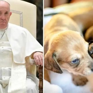 Papa Francisco se enoja con mujer por pedirle bendición para su perro