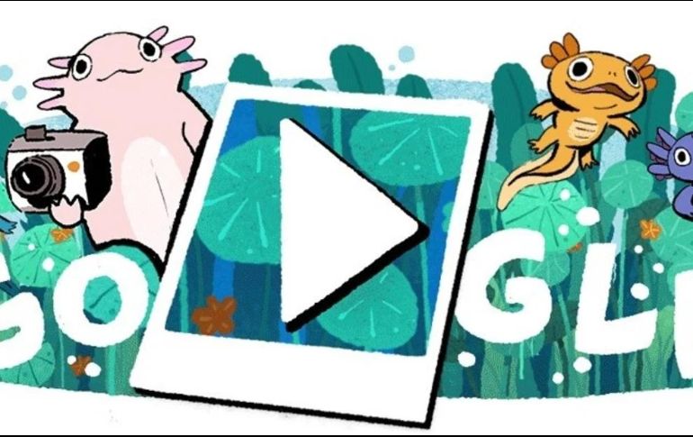 El doodle se basa en datos curiosos sobre la especie exótica del ajolote. ESPECIAL