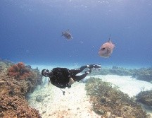 Toda persona que desee practicar buceo debe contar con un buen estado de salud. ESPECIAL
