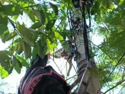 Bomberos de Zapopan ayudaron en el rescate de un gato. CORTESÍA