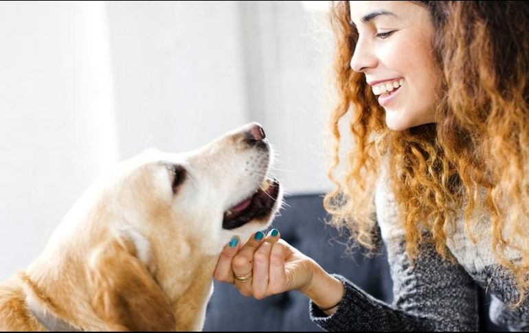 Con algunas medidas básicas, es posible reducir significativamente el riesgo de contraer una enfermedad por el contacto con las mascotas. GETTY IMAGES