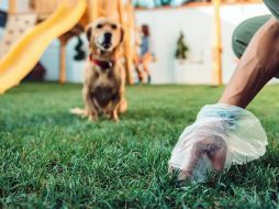 Un 46% de los hogares europeos poseen mascotas, y se estima que hay un total de 92 millones de perros domésticos y 113 millones de gatos domésticos. ESPECIAL / Zivica Kerkez/Shutterstock