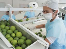 En abril de 2023, el valor de las importaciones de mercancías fue de 47 mil 733 millones de dólares, lo que significó un retroceso anual de 3.3 por ciento. NTX/ARCHIVO