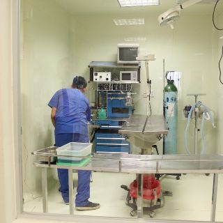 ¿Qué provocó la muerte por meningitis de pacientes en Tamaulipas?