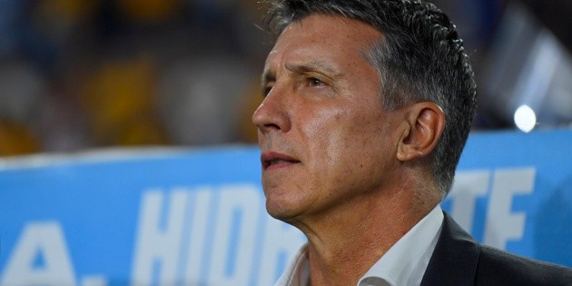 Tigres vs Chivas: El rival se llev&oacute; demasiado premio: Robert Siboldi