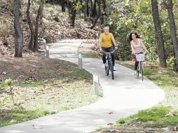 Avaterra Natural Living es una muestra de que vivir rodeado de la naturaleza permite mejorar el estado de ánimo. ESPECIAL