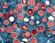 De acuerdo con la Secretaría de Salud federal, actualmente existen dos clasificaciones de la Organización Mundial de la Salud para los linajes descendientes de Ómicron, que recientemente se encuentran circulando a nivel mundial. AP