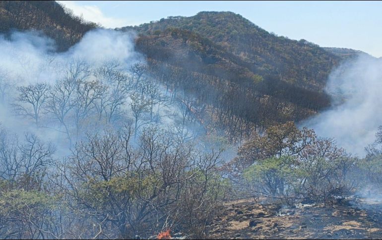 Se desconocen las causas que hayan ocasionado el incendio. ESPECIAL/Bomberos de Zapopan