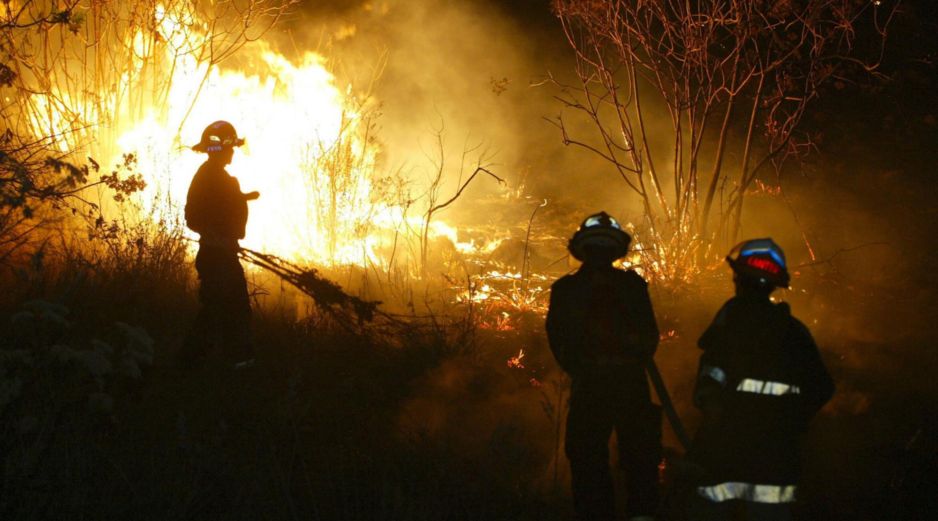 Según datos de la Conafor, Jalisco encabeza las quemas en los bosques del país. EL INFORMADOR/Archivo