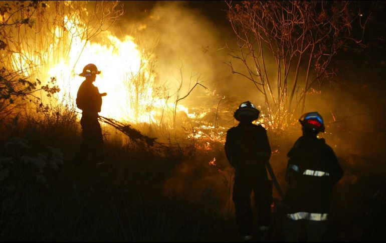 Según datos de la Conafor, Jalisco encabeza las quemas en los bosques del país. EL INFORMADOR/Archivo