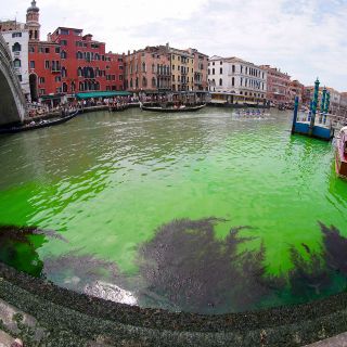 Agua de Venecia amanece verde fosforescente, ¿protesta o contaminación?