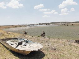 La sequía severa provocó que el campo de Jalisco enfrentara diversas dificultades para sacar adelante sus producciones. EL INFORMADOR