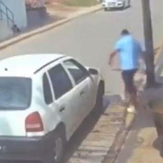 ¡Indignante! Hombre arroja a perrito a cazo de aceite hirviendo