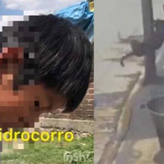Niño narra cómo vio morir a Scooby, su perro, en aceite hirviendo