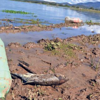 La Tierra está en peligro, un estudio lo afirma