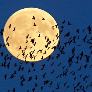 Marte en colmena, Luna de fresa y todos los fenómenos que habrá en junio