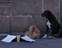 El indigente dejó al perro en el piso, pero ya sin signos de vida. ESPECIAL