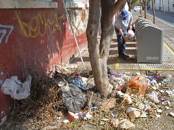 Sólo el 30 por ciento de los puntos limpios instalados en Guadalajara son utilizados correctamente por la ciudadanía. EL INFORMADOR