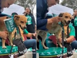 'El Chicles' causó sensación en las redes sociales. SUN