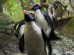 ¡No lo olvides! Estos son todos los estrenos para junio en Netflix