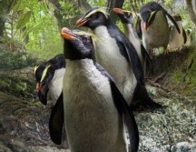 ¡No lo olvides! Estos son todos los estrenos para junio en Netflix