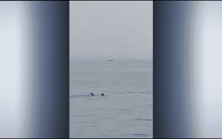 Las imágenes son terroríficas. En el video se muestra cómo el hombre manotea, en medio del mar, mientras resiste los embates del tiburón. ESPECIAL