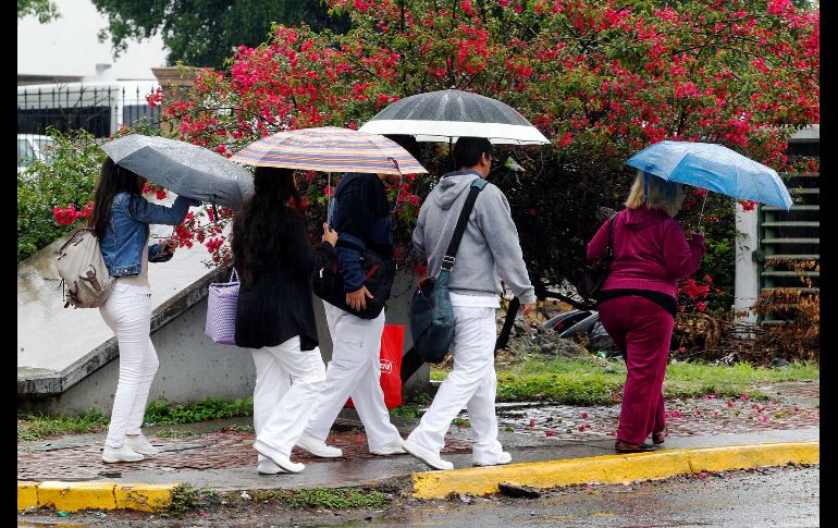 La temporada más mojada dura 3.7 meses, del 8 de junio al 30 de septiembre, con una probabilidad de más del 40% de que cierto día será un día mojado. EL INFORMADOR / ARCHIVO