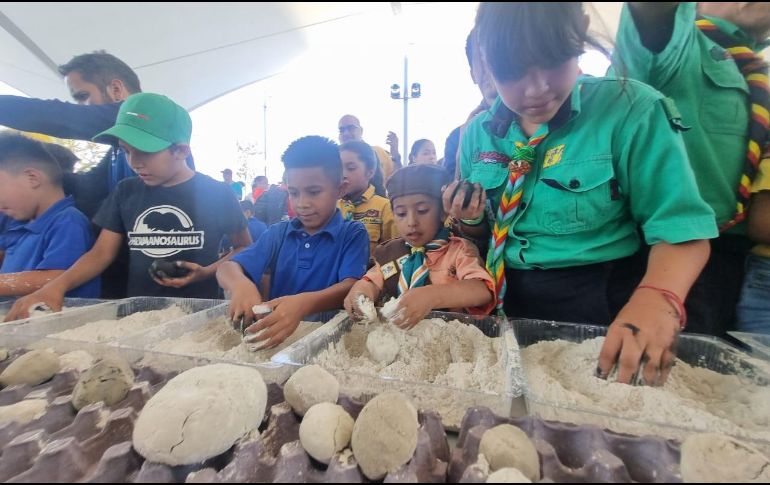 Con el proyecto bombas de semillas buscan reforestar los bosques del municipio. EL INFORMADOR/ C. Zepeda