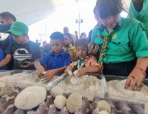 Con el proyecto bombas de semillas buscan reforestar los bosques del municipio. EL INFORMADOR/ C. Zepeda