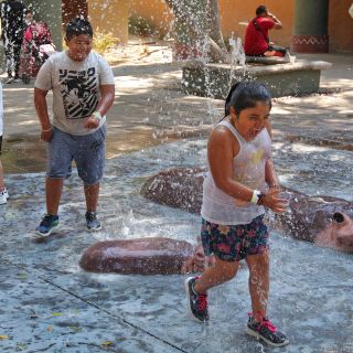 ¿A qué hora hará más calor en Guadalajara este martes 13 de junio?