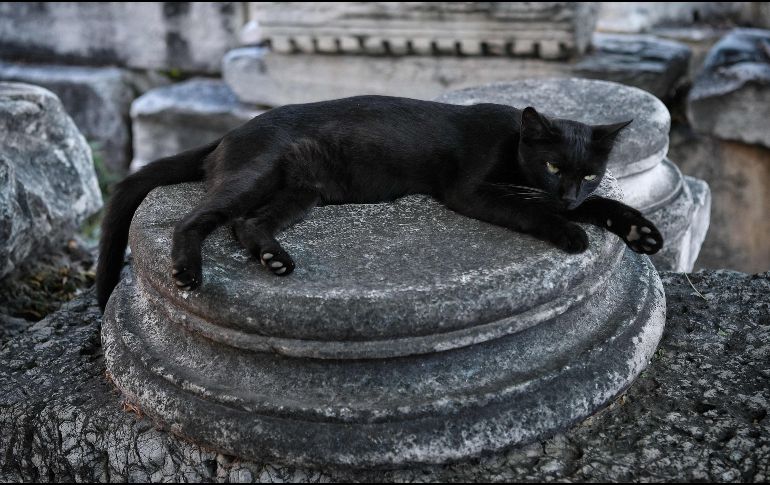 Es evidente, como con todas las supersticiones, que el número 13 no tiene una connotación negativa, por lo menos en fundamentos científicos, y se trata más de una creencia que se ha popularizado. ESPECIAL