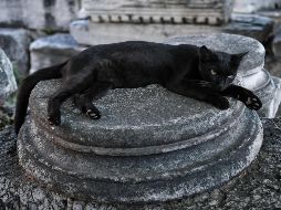 Es evidente, como con todas las supersticiones, que el número 13 no tiene una connotación negativa, por lo menos en fundamentos científicos, y se trata más de una creencia que se ha popularizado. ESPECIAL