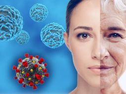 Esta capacidad inmunológica da más posibilidades de sobrevivir a infecciones. EFE/Ilustración cedida por The University of Texas San Antonio