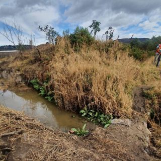 Localizan los cuerpos de tres hombres; fueron arrojados al Río Santiago