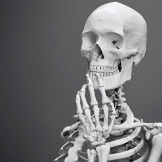 ¿Humanos caminaban erguidos hace 3.2 millones de años?