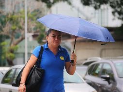 Alma Delia Ortiz, invitadora del IAM, informó que hay nubes de tormenta en el sur. SUN/Archivo