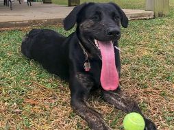 Foto de Jamie Street en Unsplash