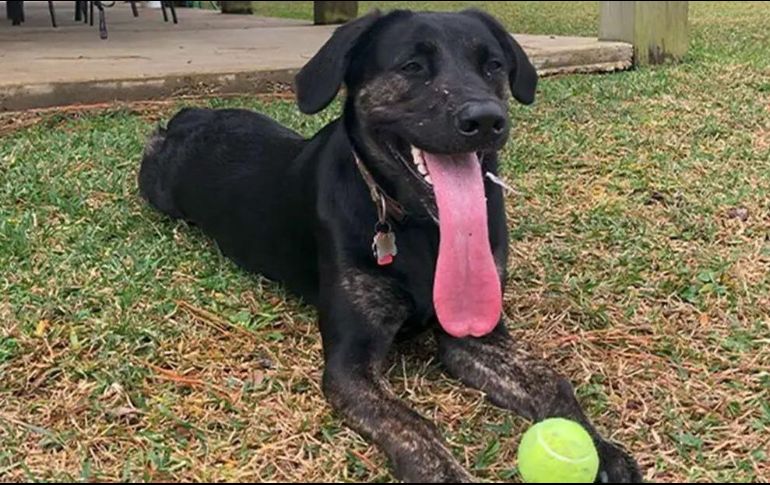 Foto de Jamie Street en Unsplash