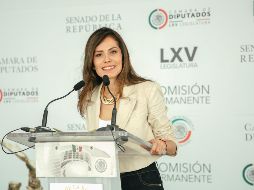 Mencionó que el aumento en el costo de la energía eléctrica es injusto. ESPECIAL