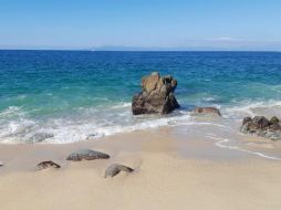 El índice UV será Muy Alto a Extremadamente Alto, entre las 11:00 y 14:00 horas en Puerto Vallarta. EL INFORMADOR / O. Álvarez